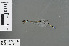  ( - RMNH.INS.502587)  @12 [ ] CreativeCommons - Attribution Non-Commercial Share-Alike (2013) Unspecified Naturalis Biodiversity Center