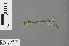  ( - RMNH.INS.502797)  @13 [ ] CreativeCommons - Attribution Non-Commercial Share-Alike (2013) Unspecified Naturalis Biodiversity Center