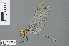  ( - RMNH.INS.502858)  @14 [ ] CreativeCommons - Attribution Non-Commercial Share-Alike (2013) Unspecified Naturalis Biodiversity Center