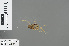  ( - RMNH.INS.502897)  @12 [ ] CreativeCommons - Attribution Non-Commercial Share-Alike (2013) Unspecified Naturalis Biodiversity Center