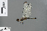  ( - RMNH.INS.502965)  @11 [ ] CreativeCommons - Attribution Non-Commercial Share-Alike (2013) Unspecified Naturalis Biodiversity Center