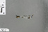  (Ceylonosticta hilaris - RMNH.INS.503235)  @12 [ ] CreativeCommons - Attribution Non-Commercial Share-Alike (2013) Unspecified Naturalis Biodiversity Center