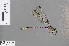  ( - RMNH.INS.503422)  @13 [ ] CreativeCommons - Attribution Non-Commercial Share-Alike (2013) Unspecified Naturalis Biodiversity Center