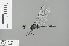  ( - RMNH.INS.503984)  @12 [ ] CreativeCommons - Attribution Non-Commercial Share-Alike (2013) Unspecified Naturalis Biodiversity Center