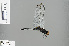  ( - RMNH.INS.503989)  @12 [ ] CreativeCommons - Attribution Non-Commercial Share-Alike (2013) Unspecified Naturalis Biodiversity Center