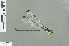  ( - RMNH.INS.504308)  @13 [ ] CreativeCommons - Attribution Non-Commercial Share-Alike (2013) Unspecified Naturalis Biodiversity Center
