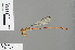  ( - RMNH.INS.505512)  @14 [ ] CreativeCommons - Attribution Non-Commercial Share-Alike (2013) Unspecified Naturalis Biodiversity Center