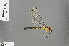  ( - RMNH.INS.505633)  @14 [ ] CreativeCommons - Attribution Non-Commercial Share-Alike (2013) Unspecified Naturalis Biodiversity Center