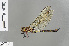  ( - RMNH.INS.505658)  @14 [ ] CreativeCommons - Attribution Non-Commercial Share-Alike (2013) Unspecified Naturalis Biodiversity Center