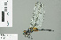  ( - RMNH.INS.506573)  @14 [ ] CreativeCommons - Attribution Non-Commercial Share-Alike (2013) Unspecified Naturalis Biodiversity Center