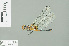 ( - RMNH.INS.509206)  @13 [ ] CreativeCommons - Attribution Non-Commercial Share-Alike (2013) Unspecified Naturalis Biodiversity Center