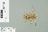  ( - RMNH.INS.509343)  @12 [ ] CreativeCommons - Attribution Non-Commercial Share-Alike (2013) Unspecified Naturalis Biodiversity Center