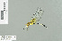  ( - RMNH.INS.509771)  @12 [ ] CreativeCommons - Attribution Non-Commercial Share-Alike (2013) Unspecified Naturalis Biodiversity Center