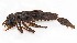  ( - WH-DCR-0005)  @11 [ ] CreativeCommons - Attribution Non-Commercial Share-Alike (2016) William Haber Instuituto Nacional de Biodiversidad