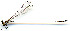  ( - WH-DCR-0017)  @11 [ ] CreativeCommons - Attribution Non-Commercial Share-Alike (2016) William Haber Instuituto Nacional de Biodiversidad