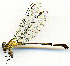  ( - WH-DCR-0051)  @11 [ ] CreativeCommons - Attribution Non-Commercial Share-Alike (2016) William Haber Instuituto Nacional de Biodiversidad
