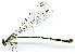  ( - WH-DCR-0073)  @11 [ ] CreativeCommons - Attribution Non-Commercial Share-Alike (2016) William Haber Instuituto Nacional de Biodiversidad