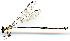  ( - WH-DCR-0076)  @11 [ ] CreativeCommons - Attribution Non-Commercial Share-Alike (2016) William Haber Instuituto Nacional de Biodiversidad