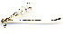  ( - WH-DCR-0088)  @11 [ ] CreativeCommons - Attribution Non-Commercial Share-Alike (2016) William Haber Instuituto Nacional de Biodiversidad
