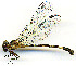  ( - WH-DCR-0093)  @11 [ ] CreativeCommons - Attribution Non-Commercial Share-Alike (2016) William Haber Instuituto Nacional de Biodiversidad