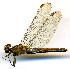  ( - WH-DCR-101)  @11 [ ] CreativeCommons  Attribution Non-Commercial (by-nc) (2019) William Haber University of Connecticut