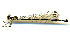  ( - WH-DCR-109)  @11 [ ] CreativeCommons  Attribution Non-Commercial (by-nc) (2019) William Haber University of Connecticut