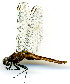  ( - WH-DCR-118)  @11 [ ] CreativeCommons  Attribution Non-Commercial (by-nc) (2019) William Haber University of Connecticut