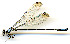  (Palaemnema nathalia - WH-DCR-119)  @11 [ ] CreativeCommons  Attribution Non-Commercial (by-nc) (2019) William Haber University of Connecticut