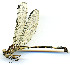  ( - WH-DCR-127)  @11 [ ] CreativeCommons  Attribution Non-Commercial (by-nc) (2019) William Haber University of Connecticut