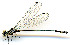  ( - WH-DCR-129)  @11 [ ] CreativeCommons  Attribution Non-Commercial (by-nc) (2019) William Haber University of Connecticut
