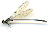  ( - WH-DCR-132)  @11 [ ] CreativeCommons  Attribution Non-Commercial (by-nc) (2019) William Haber University of Connecticut