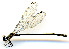  ( - WH-DCR-152)  @11 [ ] CreativeCommons  Attribution Non-Commercial (by-nc) (2019) William Haber University of Connecticut