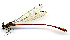  ( - WH-DCR-190)  @11 [ ] CreativeCommons  Attribution Non-Commercial (by-nc) (2019) William Haber University of Connecticut