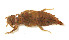  ( - WH-DCR-234)  @11 [ ] Attribution-NonCommercial-ShareAlike CC BY-NC-SA (2022) William Haber Universidad de Costa Rica