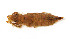  ( - WH-DCR-281)  @11 [ ] Attribution-NonCommercial-ShareAlike CC BY-NC-SA (2022) William Haber Universidad de Costa Rica