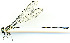  ( - WH-DCR-303)  @11 [ ] Attribution-NonCommercial-ShareAlike CC BY-NC-SA (2024) William Haber University of Connecticut