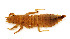  ( - WH-DCR-330)  @11 [ ] Attribution-NonCommercial-ShareAlike CC BY-NC-SA (2024) William Haber University of Connecticut