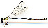  ( - WH-DCR-333)  @11 [ ] Attribution-NonCommercial-ShareAlike CC BY-NC-SA (2024) William Haber University of Connecticut