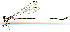  ( - WH-DCR-334)  @11 [ ] Attribution-NonCommercial-ShareAlike CC BY-NC-SA (2024) William Haber University of Connecticut