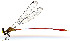  ( - WH-DCR-340)  @11 [ ] Attribution-NonCommercial-ShareAlike CC BY-NC-SA (2024) William Haber University of Connecticut