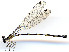  ( - WH-DCR-368)  @11 [ ] Attribution-NonCommercial-ShareAlike CC BY-NC-SA (2024) William Haber University of Connecticut
