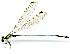  ( - WH-DCR-372)  @11 [ ] Attribution-NonCommercial-ShareAlike CC BY-NC-SA (2024) William Haber University of Connecticut