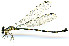  ( - WH-DCR-375)  @11 [ ] Attribution-NonCommercial-ShareAlike CC BY-NC-SA (2024) William Haber University of Connecticut
