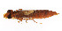  ( - WH-DCR-378)  @11 [ ] Attribution-NonCommercial-ShareAlike CC BY-NC-SA (2024) William Haber University of Connecticut