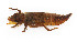  ( - WH-DCR-379)  @11 [ ] Attribution-NonCommercial-ShareAlike CC BY-NC-SA (2024) William Haber University of Connecticut