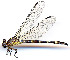  ( - WH-DCR-380)  @11 [ ] Attribution-NonCommercial-ShareAlike CC BY-NC-SA (2024) William Haber University of Connecticut