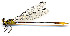  ( - WH-DCR-388)  @11 [ ] Attribution-NonCommercial-ShareAlike CC BY-NC-SA (2024) William Haber University of Connecticut