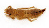  ( - WH-DCR-417)  @11 [ ] Attribution-NonCommercial-ShareAlike CC BY-NC-SA (2025) William Haber Universidad de Costa Rica
