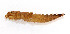  ( - WH-DCR-421)  @11 [ ] Attribution-NonCommercial-ShareAlike CC BY-NC-SA (2025) William Haber Universidad de Costa Rica