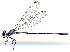 ( - WH-DCR-490)  @11 [ ] Attribution-NonCommercial-ShareAlike CC BY-NC-SA (2025) William Haber Universidad de Costa Rica
